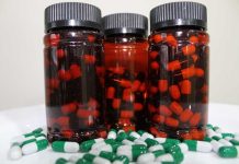 CREAS y emprendedores de Aysén trabajan suplemento único a partir de hojas de maqui CREAS y emprendedores de Aysén trabajan suplemento único a partir de hojas de maqui