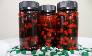 CREAS y emprendedores de Aysén trabajan suplemento único a partir de hojas de maqui