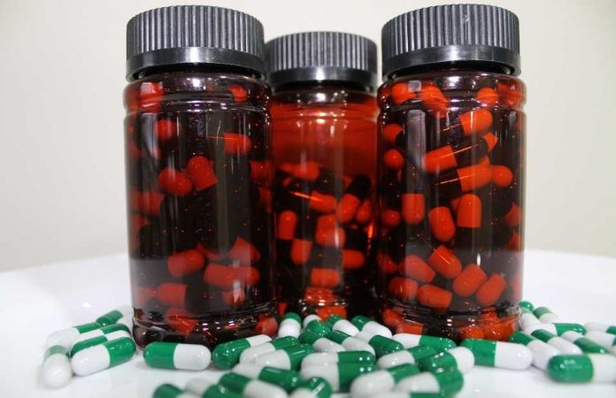 CREAS y emprendedores de Aysén trabajan suplemento único a partir de hojas de maqui