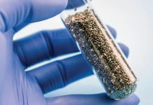 Chía y control del colesterol: un aliado natural en tiempos de exigencia cardíaca