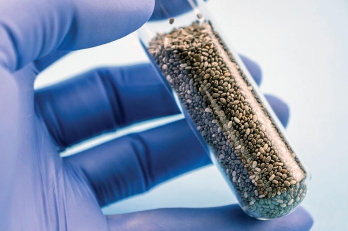 Chía y control del colesterol: un aliado natural en tiempos de exigencia cardíaca Chía y control del colesterol: un aliado natural en tiempos de exigencia cardíaca