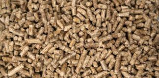 Conoce cómo calefaccionar tu hogar sin contaminar ni gastar de más