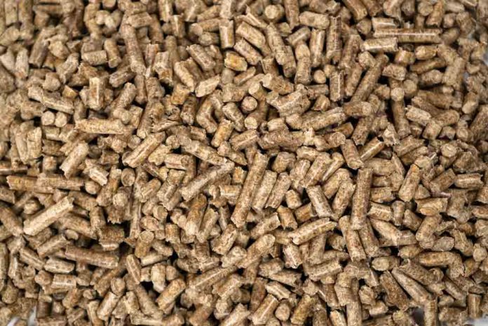 Conoce cómo calefaccionar tu hogar sin contaminar ni gastar de más