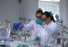 Estudios confirman beneficios del litio para el alzheimer: un impacto global con raíz en Chile Estudios confirman beneficios del litio para el alzheimer: un impacto global con raíz en Chile