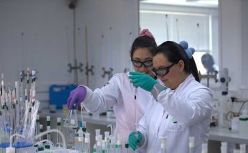 Estudios confirman beneficios del litio para el alzheimer: un impacto global con raíz en Chile