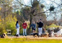 Naturaleza como medicina: conoce los beneficios de frecuentar entornos naturales para la salud Naturaleza como medicina: conoce los beneficios de frecuentar entornos naturales para la salud