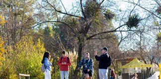 Naturaleza como medicina: conoce los beneficios de frecuentar entornos naturales para la salud