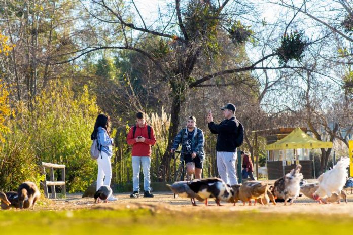 Naturaleza como medicina: conoce los beneficios de frecuentar entornos naturales para la salud