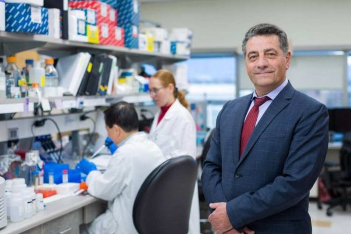 Nueva herramienta de Mayo Clinic revela cambios ocultos en el ADN del cáncer que pueden causar resistencia al tratamiento Nueva herramienta de Mayo Clinic revela cambios ocultos en el ADN del cáncer que pueden causar resistencia al tratamiento