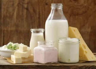 Bajo consumo de lácteos en adultos chilenos abre brecha nutricional con consecuencias en la tercera edad