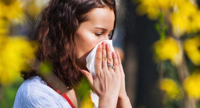 Rinitis alérgica: como enfrentar esta patología crónica que afecta al 30% de la población con la llegada de septiembre