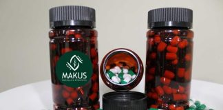 Innovación desde Aysén convierte hojas de maqui en cápsulas antioxidantes validadas científicamente