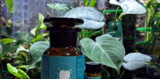 ¿Adiós a la pasta de dientes tradicional? Investigación desarrolló nuevos comprimidos dentífricos masticables