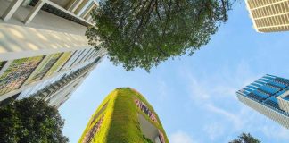 Arquitectura para la vida: cómo diseñar ciudades que cuidan la salud y el medioambiente