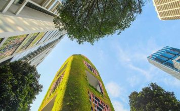 Arquitectura para la vida: cómo diseñar ciudades que cuidan la salud y el medioambiente Arquitectura para la vida: cómo diseñar ciudades que cuidan la salud y el medioambiente