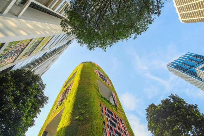 Arquitectura para la vida cómo diseñar ciudades que cuidan la salud y el medioambiente Arquitectura para la vida: cómo diseñar ciudades que cuidan la salud y el medioambiente