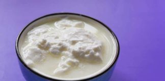 Beneficios de los alimentos fermentados