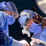 Chile conmemora el Día del Donante de Órganos con 432 trasplantes en 2025 y el desafío de una creciente lista de espera Chile conmemora el Día del Donante de Órganos con 432 trasplantes en 2025 y el desafío de una creciente lista de espera