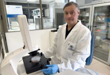 Científico puertomontino lidera investigación que vincula microplásticos con el cáncer de mama Científico puertomontino lidera investigación que vincula microplásticos con el cáncer de mama