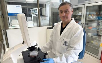 Científico puertomontino lidera investigación que vincula microplásticos con el cáncer de mama Científico puertomontino lidera investigación que vincula microplásticos con el cáncer de mama