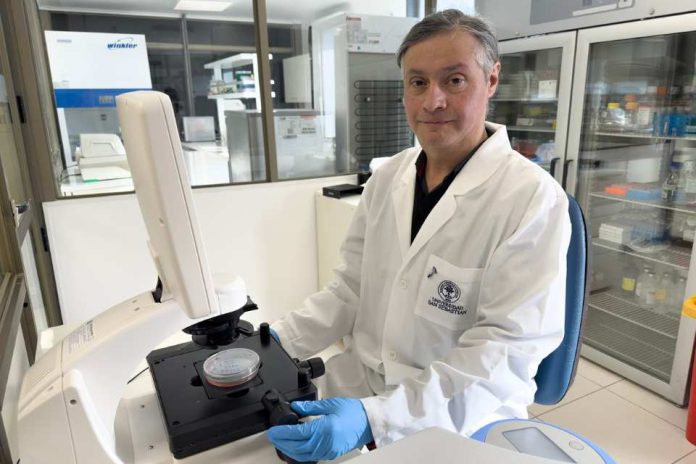 Científico puertomontino lidera investigación que vincula microplásticos con el cáncer de mama Científico puertomontino lidera investigación que vincula microplásticos con el cáncer de mama