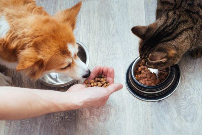 Colmevet apela a sobreseimiento de tres imputados por daños a la salud de más de 400 mascotas Colmevet apela a sobreseimiento de tres imputados por daños a la salud de más de 400 mascotas