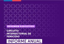 Datos femicidios actualizados