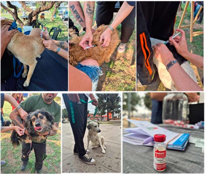 Día Mundial de la Rabia