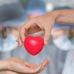 El viaje de la esperanza: Cómo la logística permite que cada órgano llegue a destino El viaje de la esperanza Cómo la logística permite que cada órgano llegue a destino