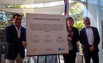 En el mes de la patria, Consejo del Salmón celebra acuerdo de colaboración con INTA y Achiga para potenciar el valor del salmón chileno En el mes de la patria, Consejo del Salmón celebra acuerdo de colaboración con INTA y Achiga para potenciar el valor del salmón chileno