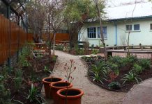 Estudio confirma beneficios terapéuticos de jardines sanadores en hospitales públicos Estudio confirma beneficios terapéuticos de jardines sanadores en hospitales públicos