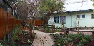 Estudio confirma beneficios terapéuticos de jardines sanadores en hospitales públicos