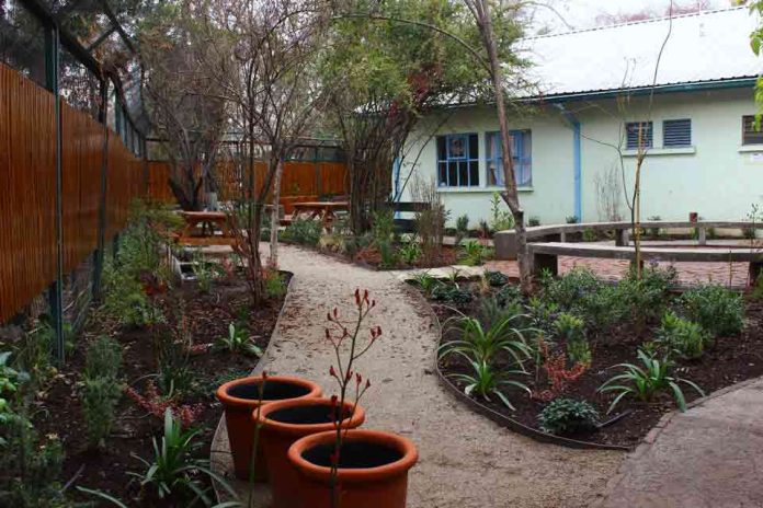 Estudio confirma beneficios terapéuticos de jardines sanadores en hospitales públicos