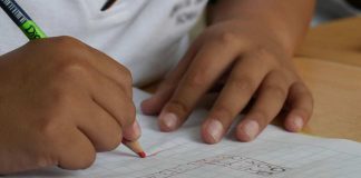 Estudio revela que una dieta saludable mejora el rendimiento matemático en escolares chilenos