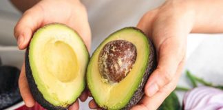 Experta UdeC advierte sobre los efectos de la contaminación por cadmio en el organismo