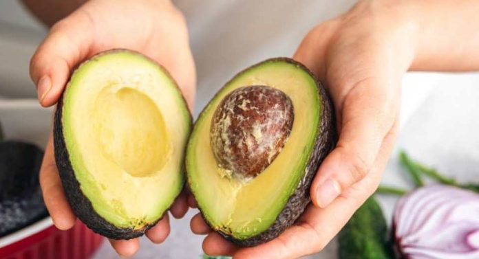 Experta UdeC advierte sobre los efectos de la contaminación por cadmio en el organismo