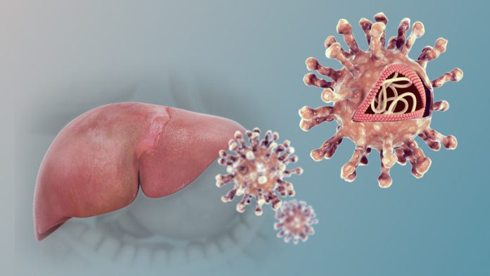 Hepatitis: la infección que avanza en silencio y puede ser mortal Hepatitis: la infección que avanza en silencio y puede ser mortal