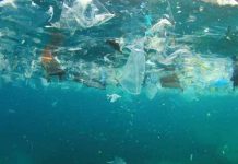 Investigadores chilenos proponen política pública para dar trazabilidad a contaminantes emergentes en el agua Investigadores chilenos proponen política pública para dar trazabilidad a contaminantes emergentes en el agua