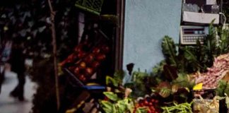 Italia y Chile: una alianza gastronómica para promover la dieta mediterránea 