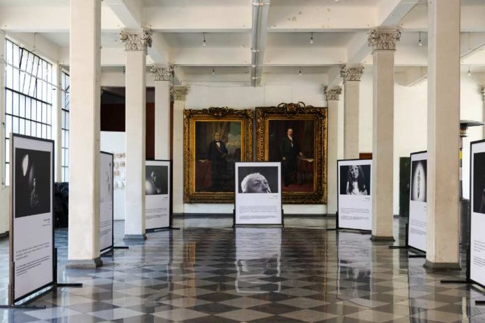 “Los Rostros de la Leucemia Mieloide Crónica”: la muestra fotográfica que rescata la realidad de los pacientes llegó a Valparaíso