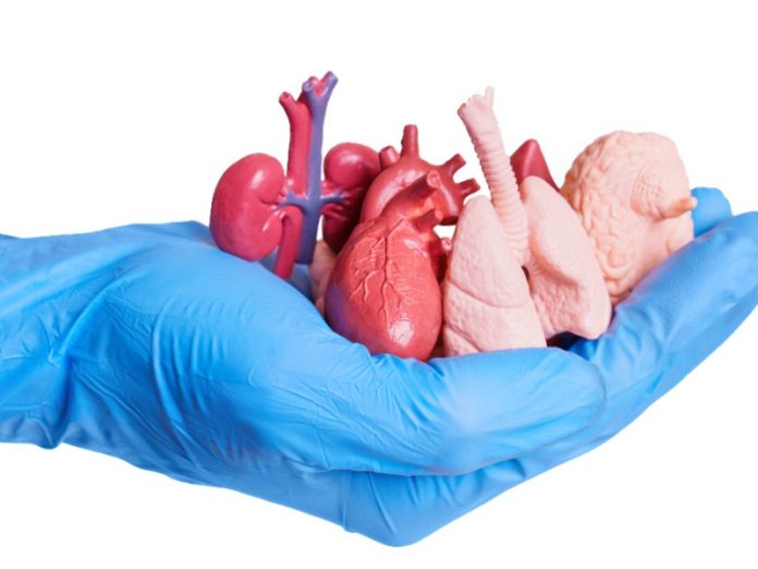 Farmacias y donación de órganos: un vínculo necesario para salvar vidas