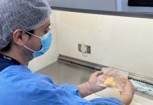 Una alianza que preserva corazones: VidaCel y UC Christus impulsan un avance pionero en cirugía cardiovascular en Chile