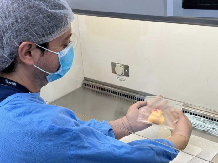 Una alianza que preserva corazones VidaCel y UC Christus impulsan un avance pionero en cirugía cardiovascular en Chile Una alianza que preserva corazones: VidaCel y UC Christus impulsan un avance pionero en cirugía cardiovascular en Chile