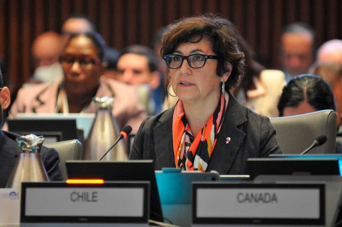 Ministra Ximena Aguilera destaca experiencia de Chile en acceso a tecnologías sanitarias de alto costo en el 62º Consejo Directivo de la OPS/OMS Ministra Ximena Aguilera destaca experiencia de Chile en acceso a tecnologías sanitarias de alto costo en el 62º Consejo Directivo de la OPS/OMS