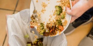 Chile desperdicia 2,5 millones de toneladas de alimentos al año Nutricionista revela cómo aprovecharlos mejora la salud y ahorra dinero