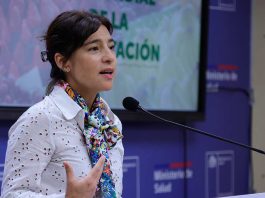 Día Mundial de la Alimentación: Minsal presenta herramienta digital para monitorear el estado nutricional de la población