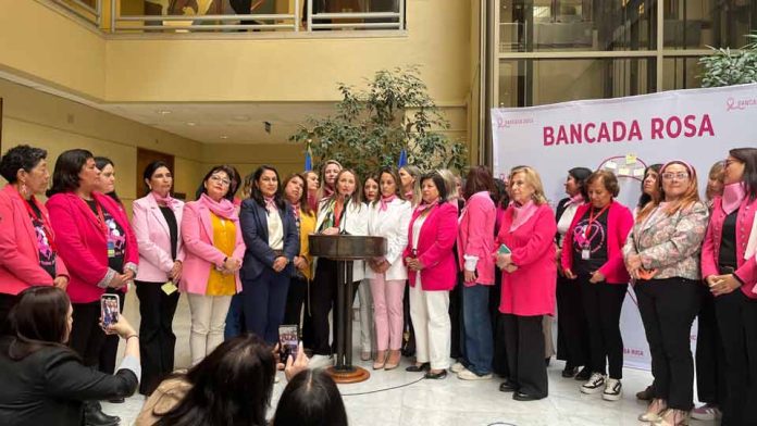 Diputadas de la Bancada Rosa firman compromiso por el cáncer de mama  en su primer aniversario