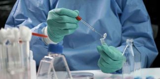 ESMO 2025: «Anticuerpos Conjugados» marcan el futuro del cáncer y Chile consolida su rol en investigación. ESMO 2025: "Anticuerpos Conjugados" marcan el futuro del cáncer y Chile consolida su rol en investigación.