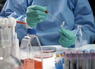 ESMO 2025: "Anticuerpos Conjugados" marcan el futuro del cáncer y Chile consolida su rol en investigación.