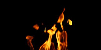 El estudio, publicado en Progress in Energy and Combustion Science, busca contribuir al conocimiento sobre las partículas de hollín y su impacto en el medioambiente y la salud humana.